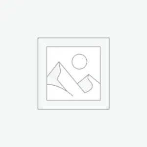 Dollhouses & Playsets